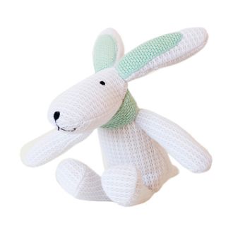 Fluffy Bunny Rabbit resmi